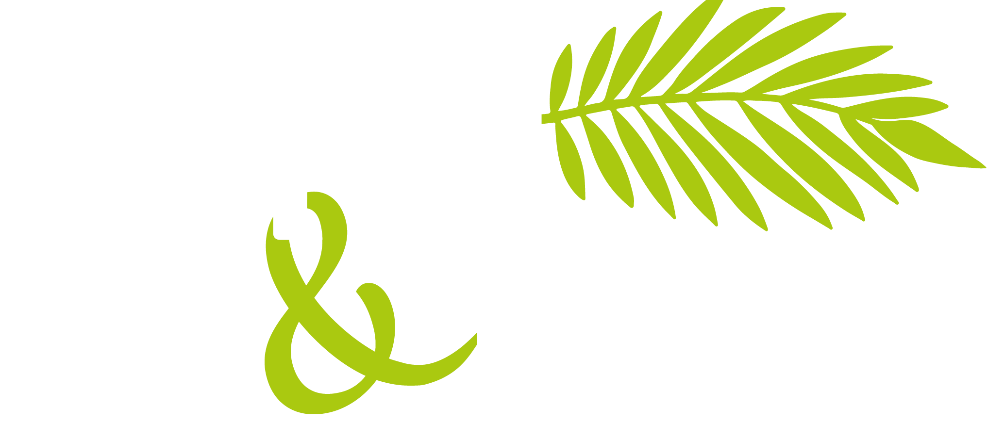 Palm & Meer logo
